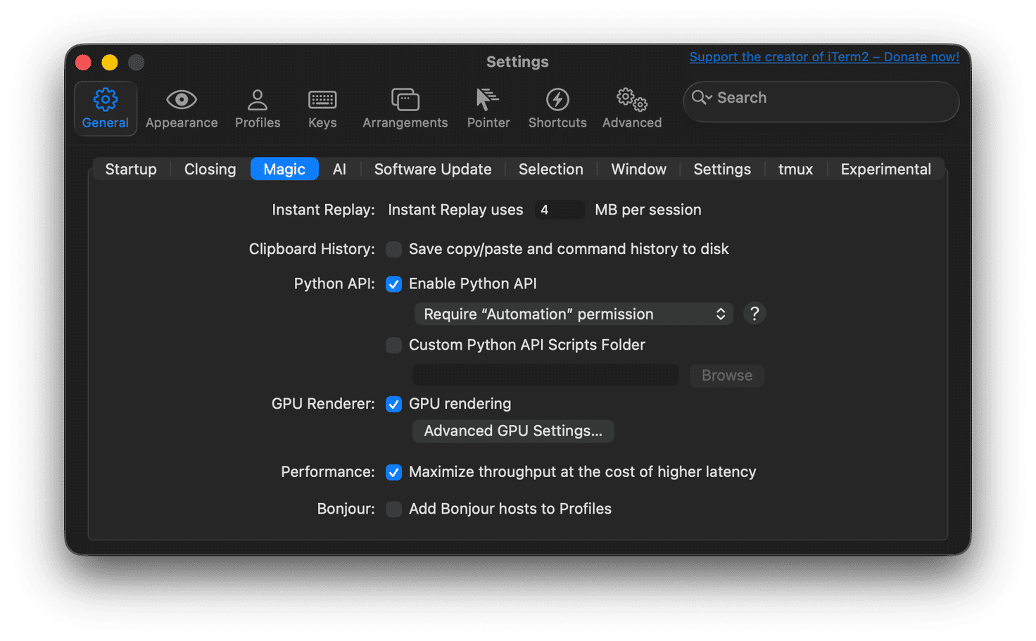 iTerm2 Settings window showing the General tab with the Magic subtab selected. The Python API checkbox is enabled, with the Require Automation permission dropdown visible below it.