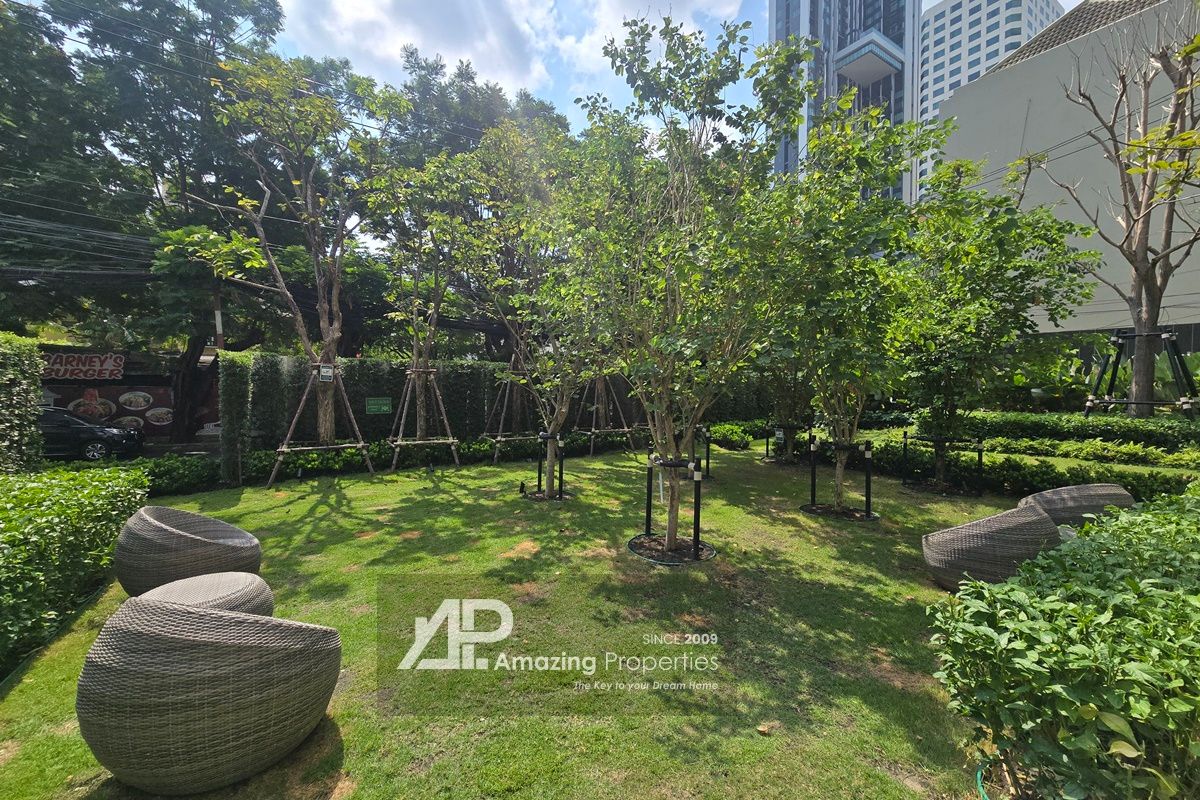 img_1775182353_Dog_Park_Muniq_Sukhumvit_23__fq1RsD3S.jpg