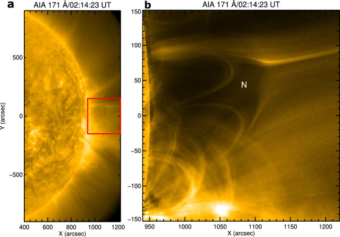 Multi panel scientific figure with graphs and microscopy images comparing experimental