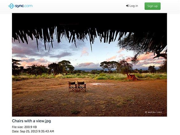 Step 31 illustration