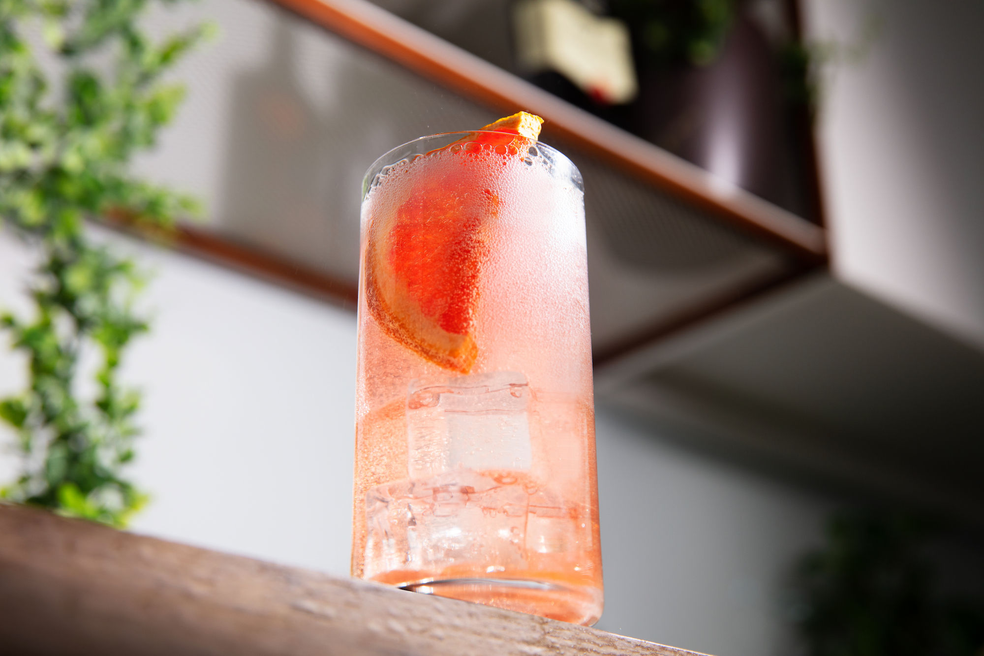 blt highball2380 2