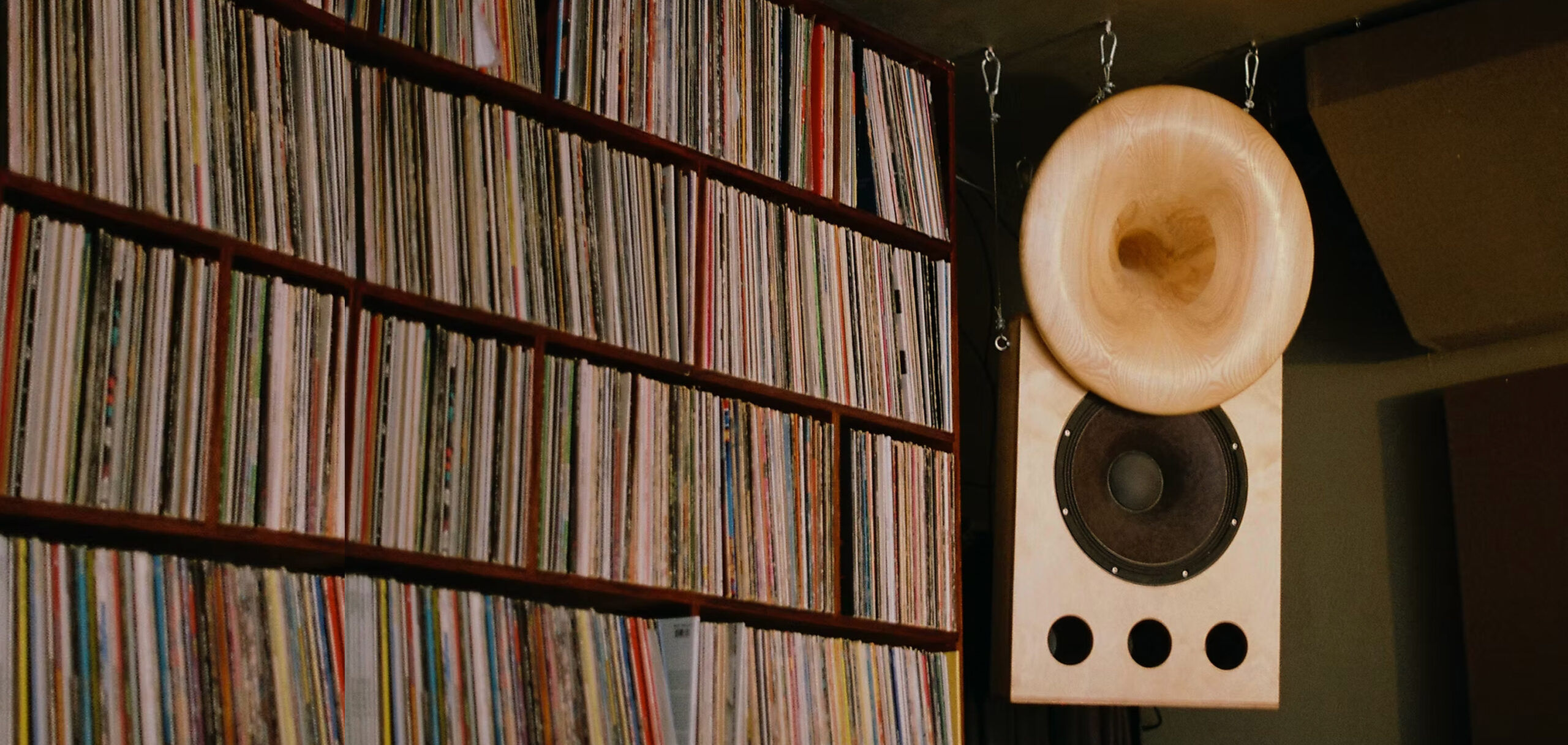 Speaker and vinyls