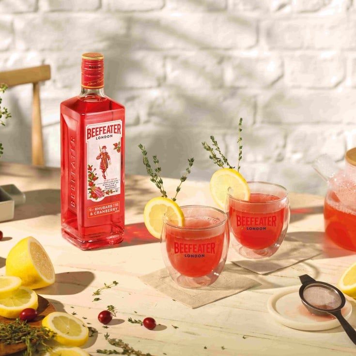Rhubarb & Cranberry Hot Toddy Cocktail recipe - Beefeater Gin