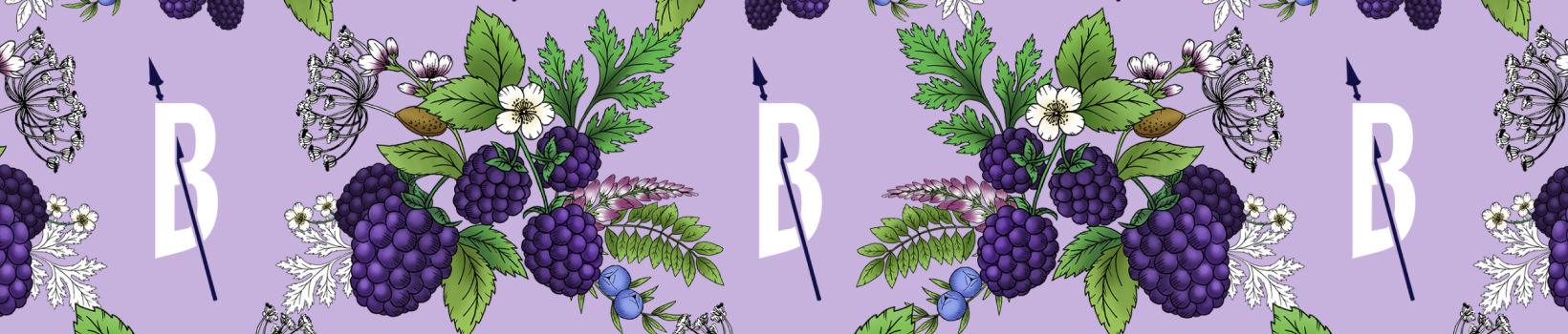 blackberry header aspect ratio 1650 352