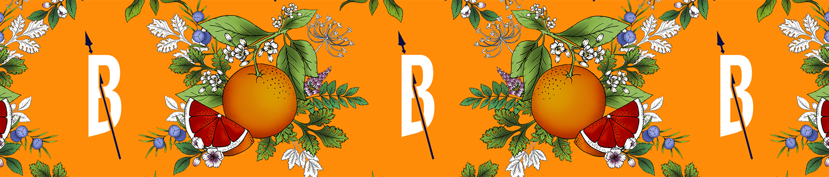 blood orange header aspect ratio 1650 352