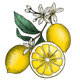 lemon