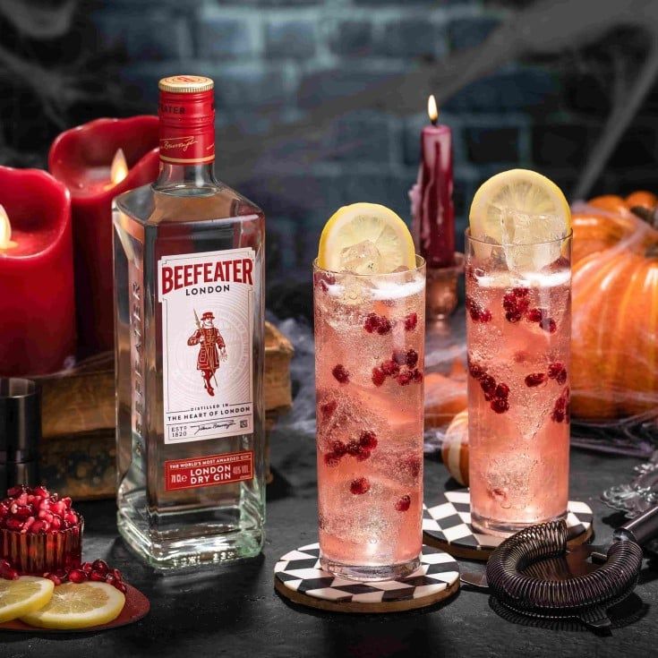 Pomegranate Gin Fizz