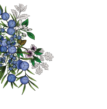dry bush single portrait background new