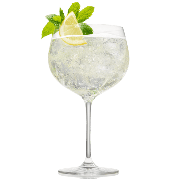 previewmedium beefeater 24 sencha gt transparent with shadow aspect ratio 735 735