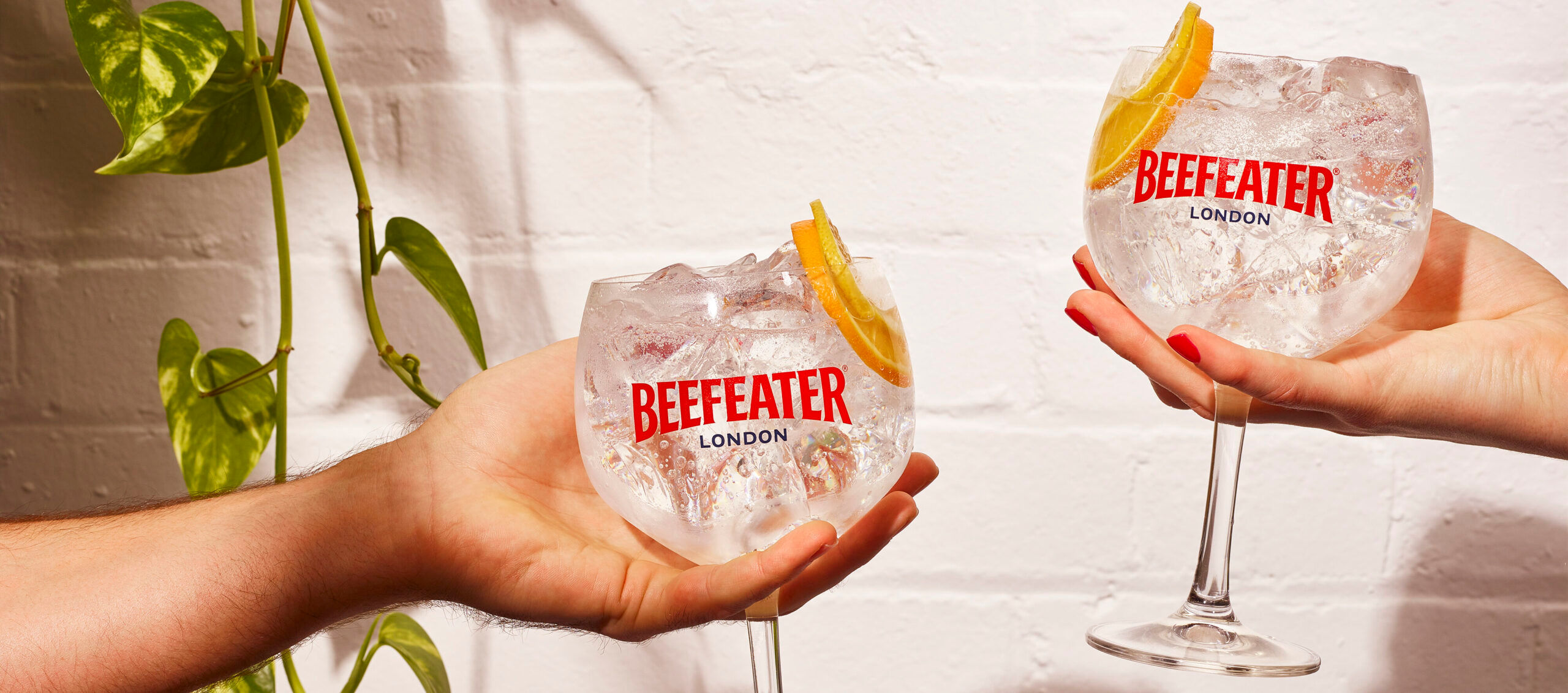 beefeater tonic scaled aspect ratio 1650 730