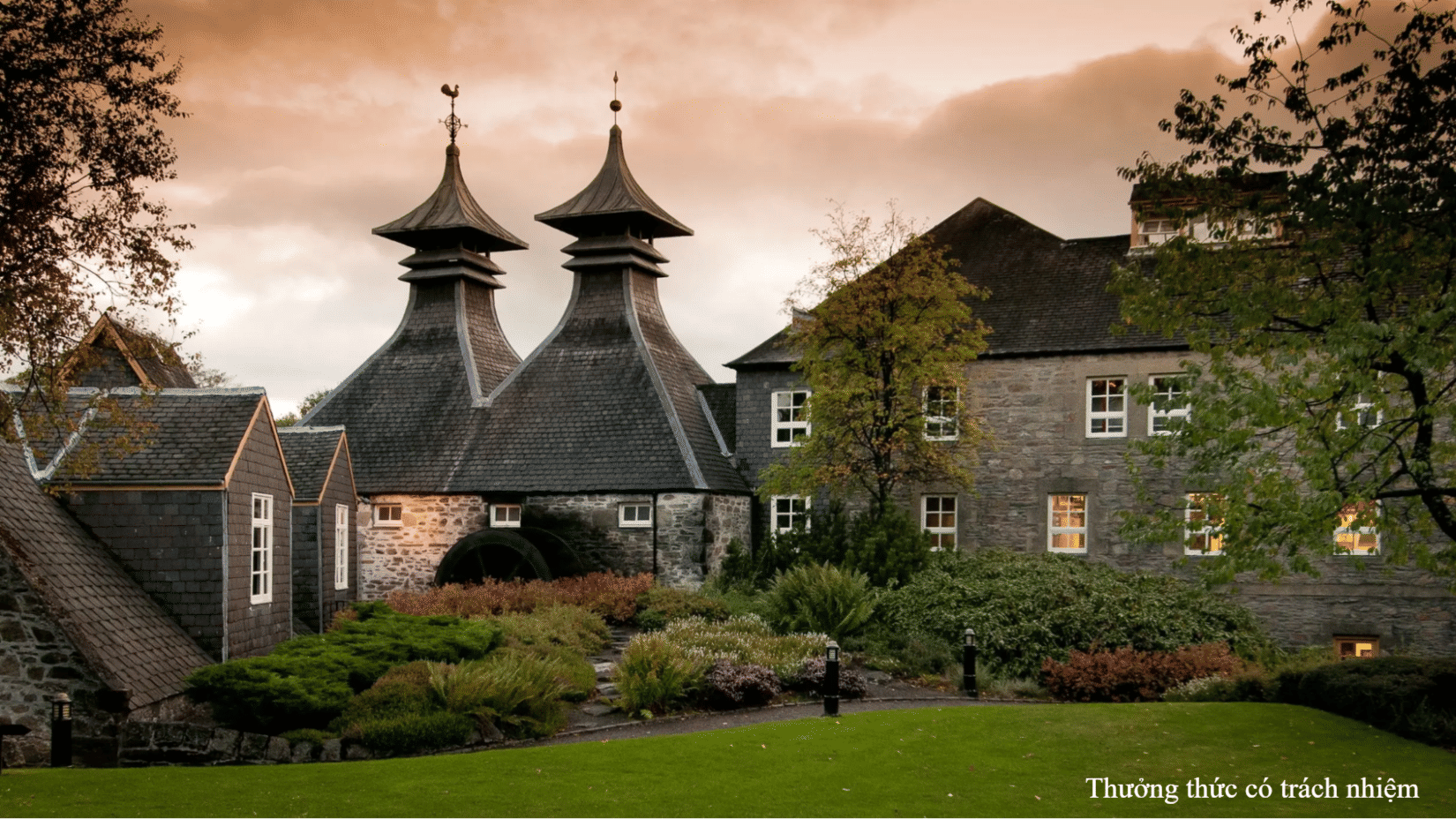 Whisky được ra đời từ thế kỷ 15 tại Scotland