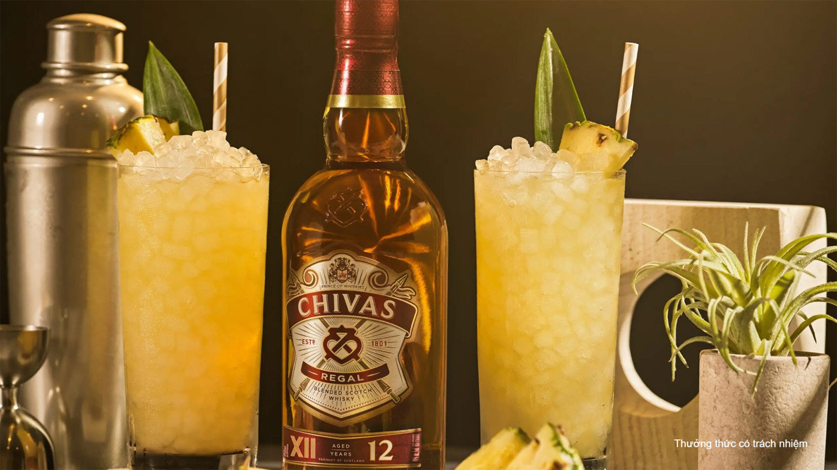 Ly Highball rất phù hợp cho pha chế Cocktail.