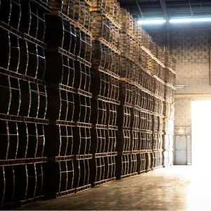 maturation warehouse maturation mobile 300x300