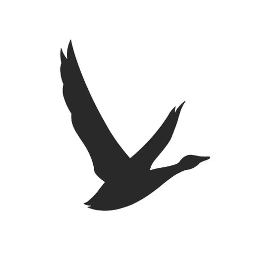 스크린샷 2024 11 05 163850