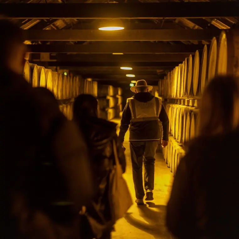 Image of visitors at the Midleton Distillery Experience