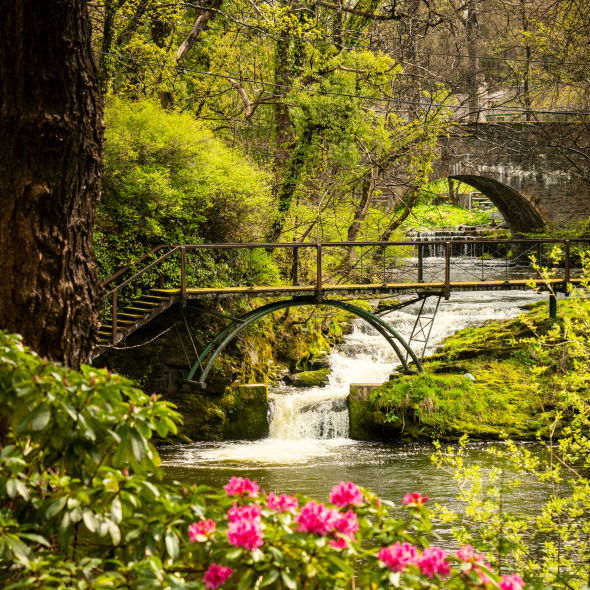 Two bridges over a serene river surrounded by lush greenery and flowers in the grounds of Linn House.