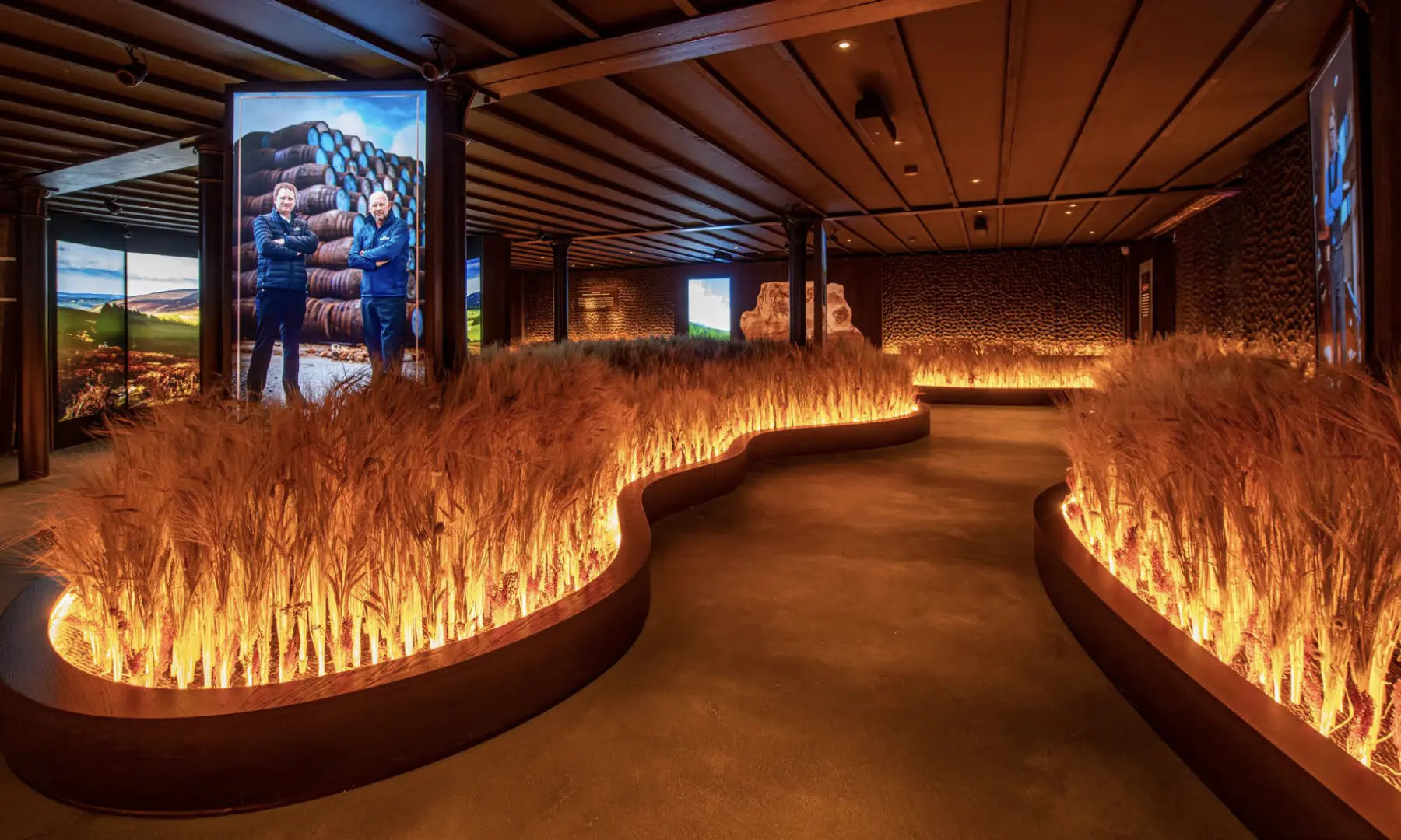 A stylish indoor walkway of rye lit from below.