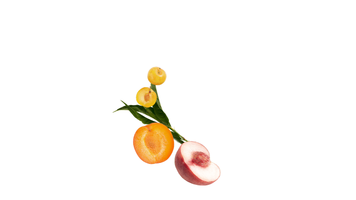 Martell VSOP ingredients