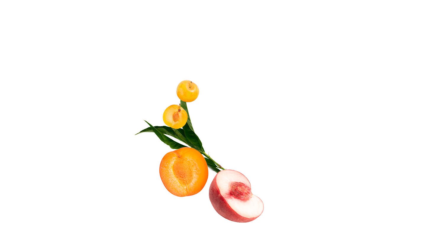 Martell VSOP ingredients
