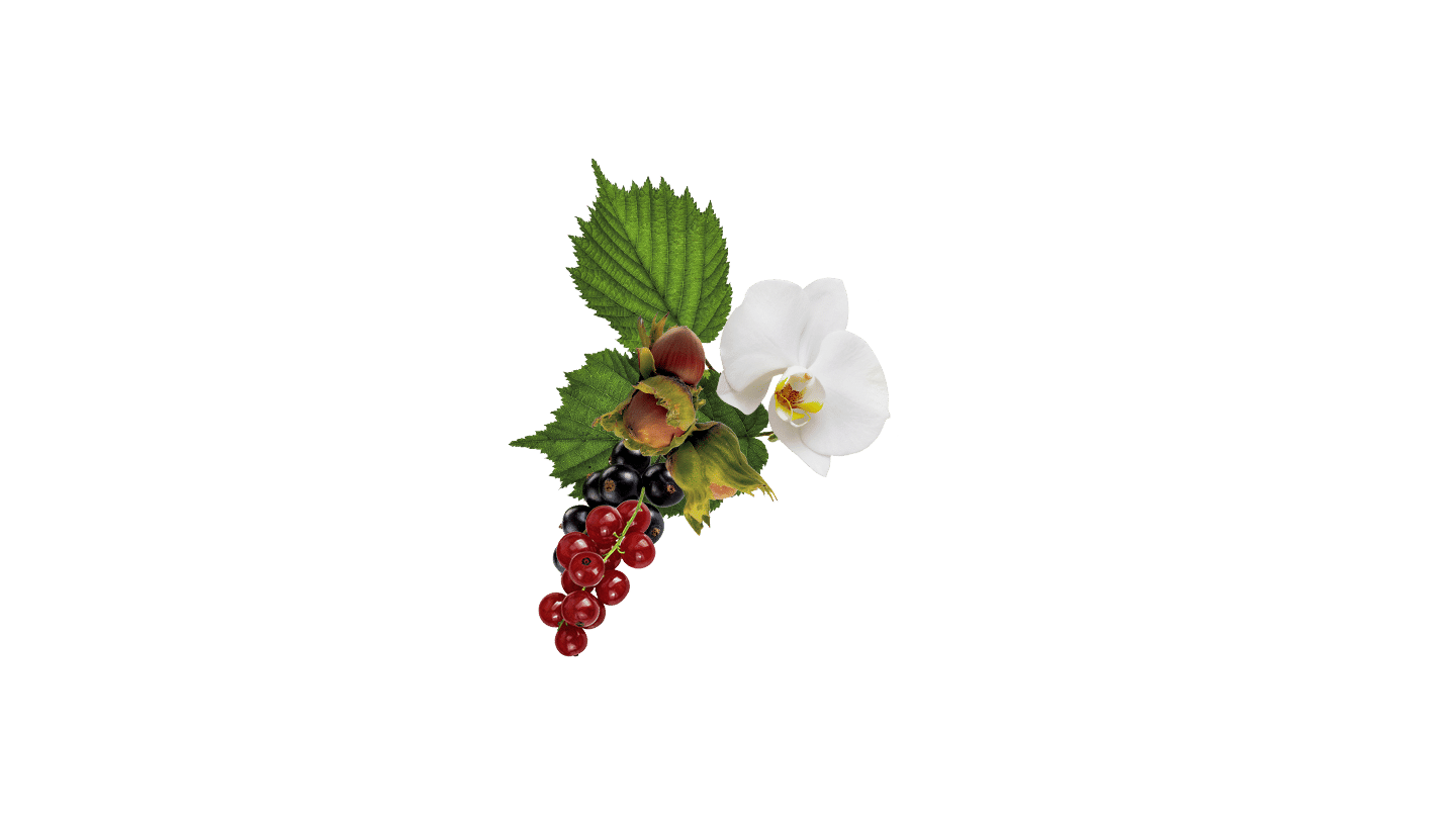 Martell Chanteloup XXO ingredients