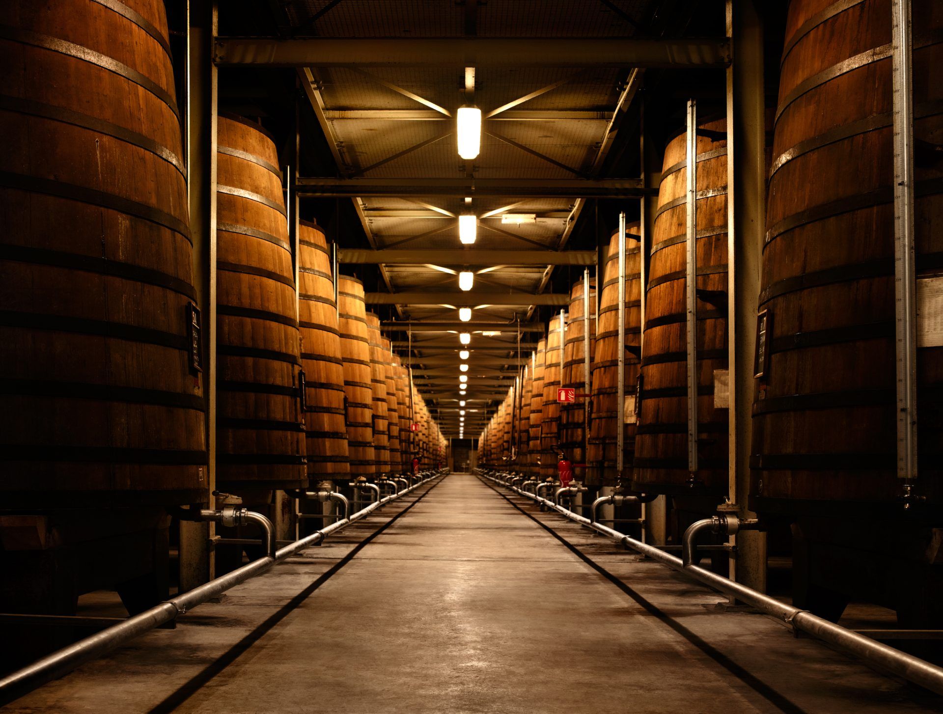 visual ageing cellar