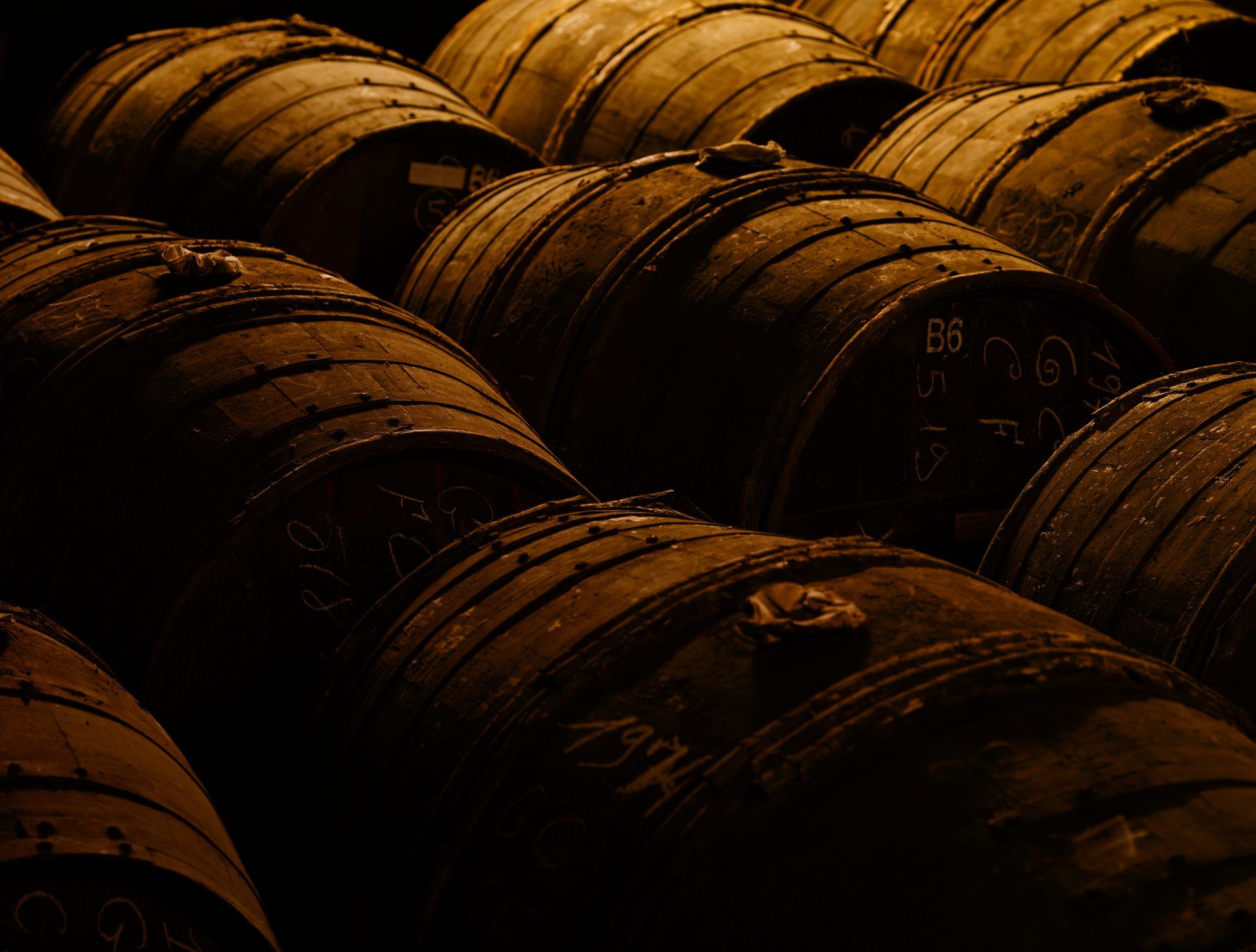 Cognac Maturation: The Art of Aging