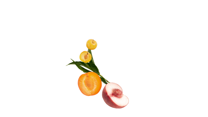 Martell cognac vsop ingredients