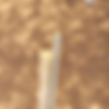 Chew stick ecofriendly toothbrush