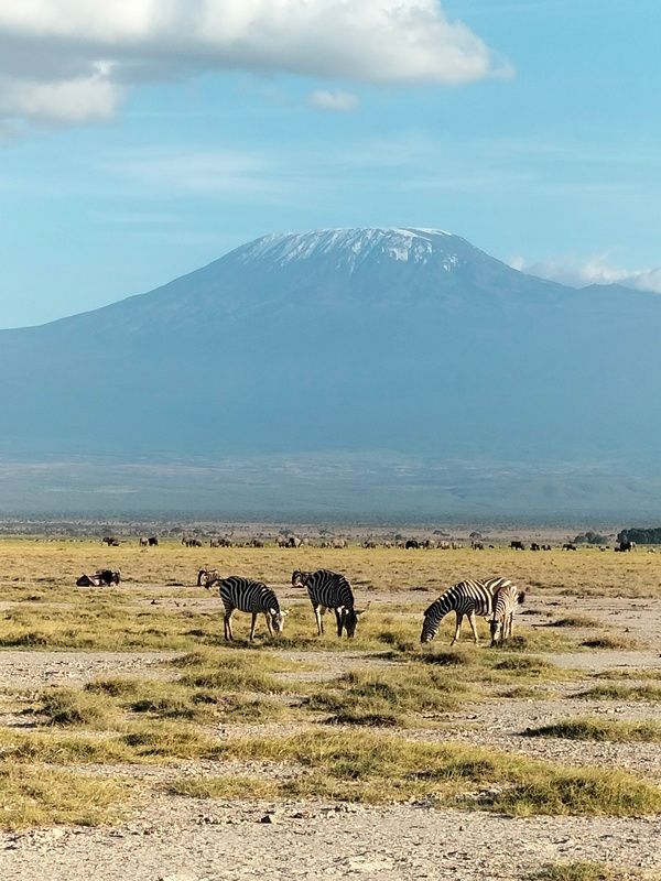 Perfect view of Mount Kilimanjaro during 7-day Amboseli Safari — iconic Kenya landscape