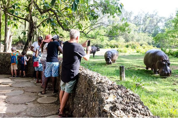 Haller animal viewing excursion tour
