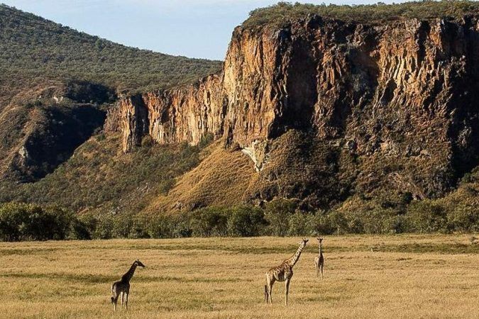 Hell’s Gate game drive safari adventure