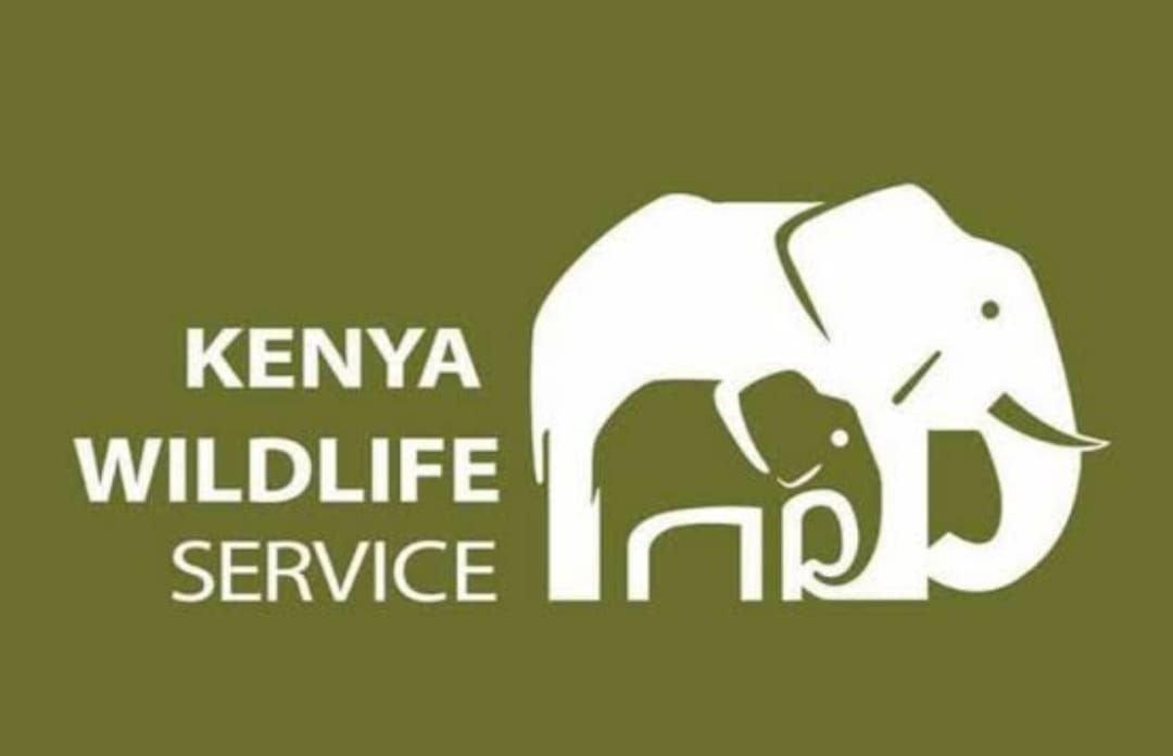 Kenya Wildlife Service Logo