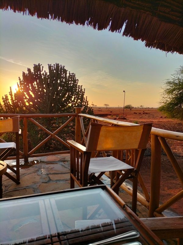 Expérience safari parfaite au Ngutuni Lodge
