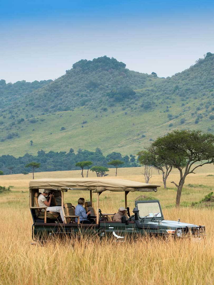 Safari en véhicule au Masai Mara avec les visiteurs