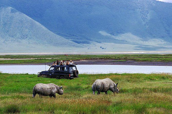 Ngorongoro Crater game adventure