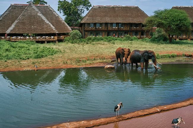 Observation de la faune depuis le balcon du Ngutuni Safari Lodge
