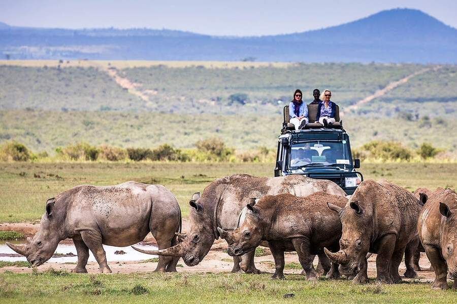 Solio Game drive adventure - Kenya Safari