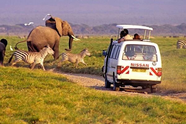 Sunday Best Safaris vehicle