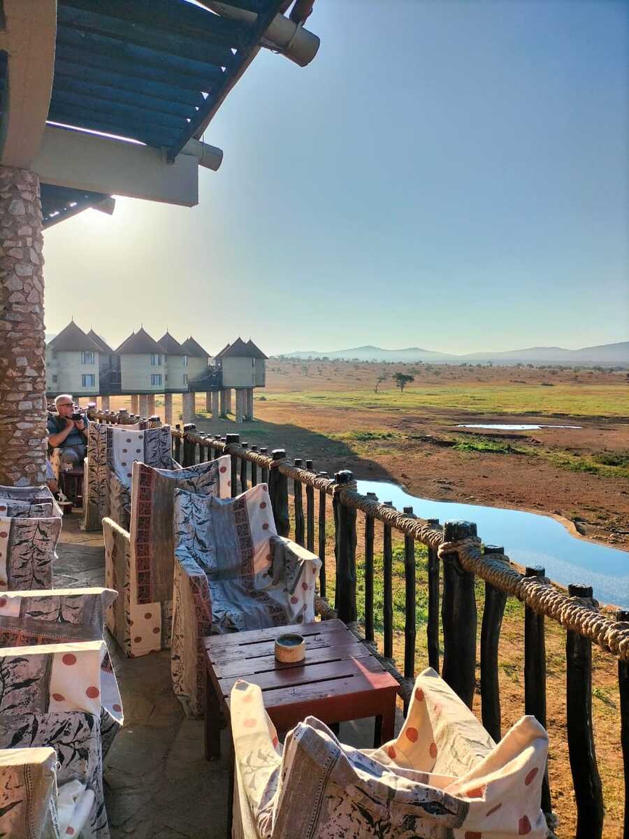 Vue panoramique sur la faune depuis le Salt Lick Lodge lors d’un safari de 3 jours au Kenya
