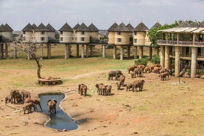 Aerial view of Salt Lick Lodge and elephants at Taita Hills