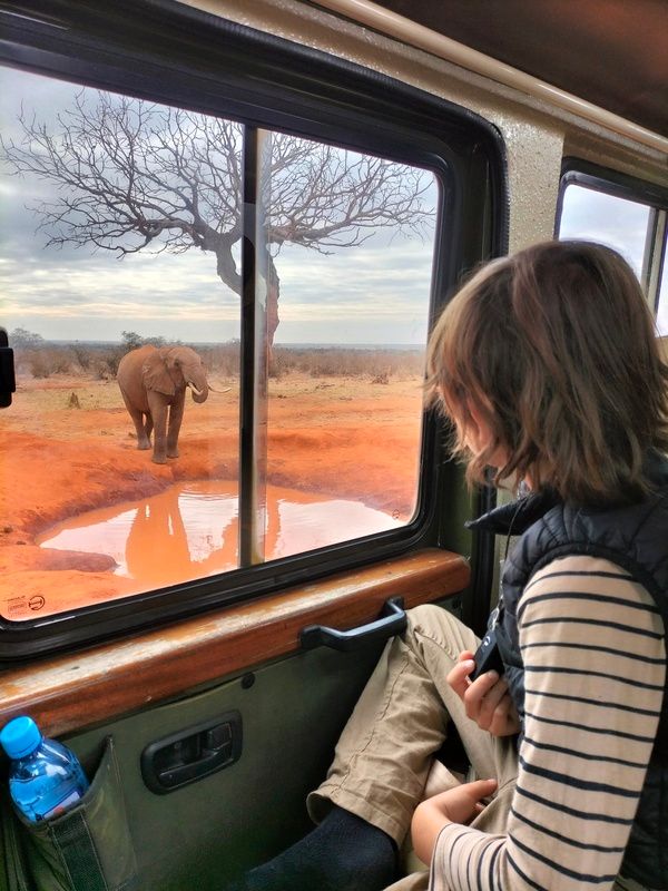 Tsavo east game drive adventure - Kenya Safari