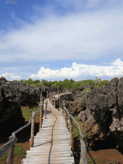 Wasini Island boardwalk at fossil coral garden