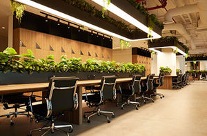 Cushman & Wakefield Core: Why Serviced Offices Are Shaping the Future of Work in the UAE