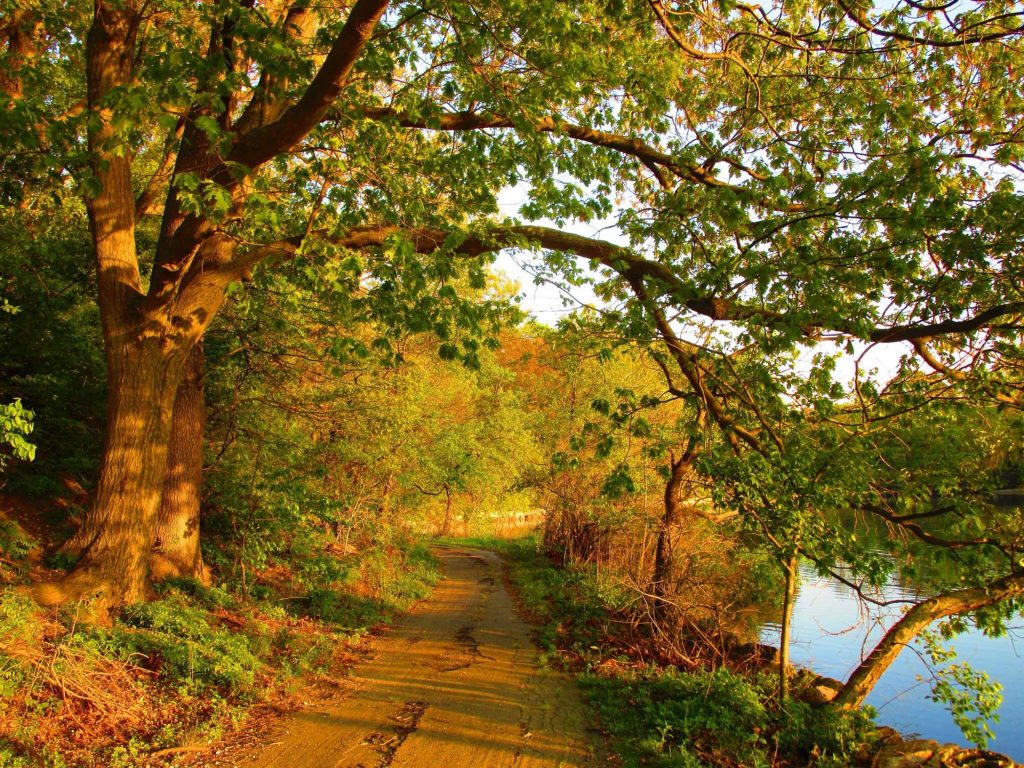 Tods Point Greenwich CT