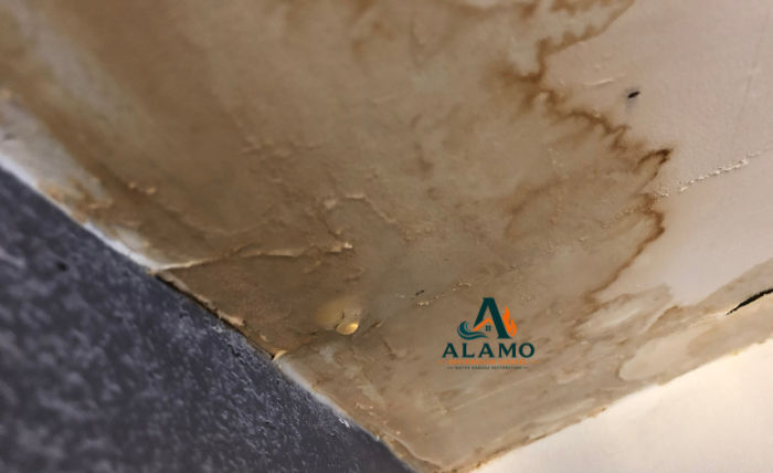 Alamo Restoration Experts technicians