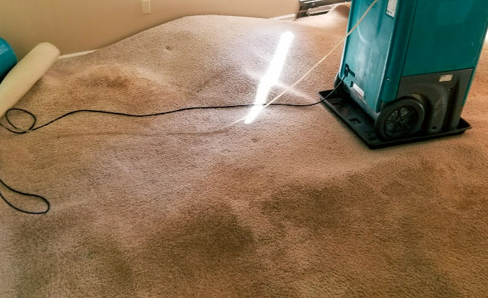 Everett Restoration Pros technicians