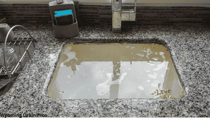 Kitchen Drain Cleaning