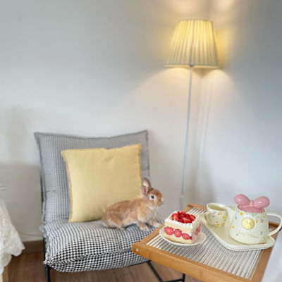 Florida Rabbit Cafe BUNNY CAFE - Restaurants and Food - Food