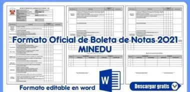 Boletas de Información 2021 Inicial, Primaria y Secundaria en Word y Excel EDITABLE