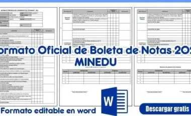Boletas de Información 2021 Inicial, Primaria y Secundaria en Word y Excel EDITABLE